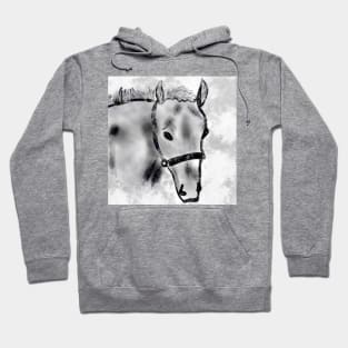 Horse head drawing Hoodie